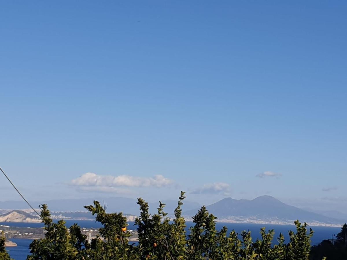 Sweet Home La Chicca Ischia Extérieur photo